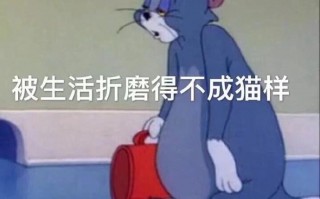 爱好沙雕文案男生，爱好沙雕文案男生霸气