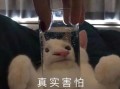 711减肥文案沙雕，七夕减肥文案