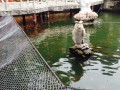 怀柔攻略游玩，怀柔攻略游玩景点